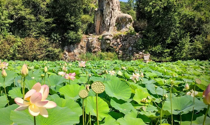 Hiking with the Gods. Pratolino: a Medici park