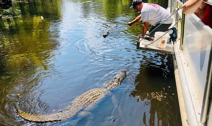 Swamp Boat Ride and Whitney Plantation Tour from New Orleans