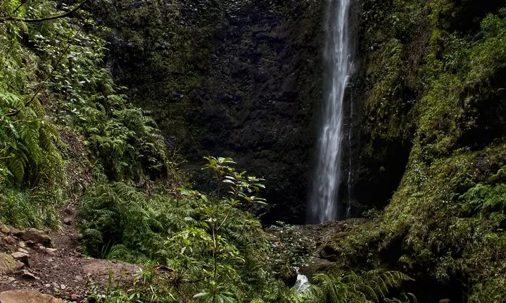 Queimadas - Caldeirão Verde (Full Day Walk)