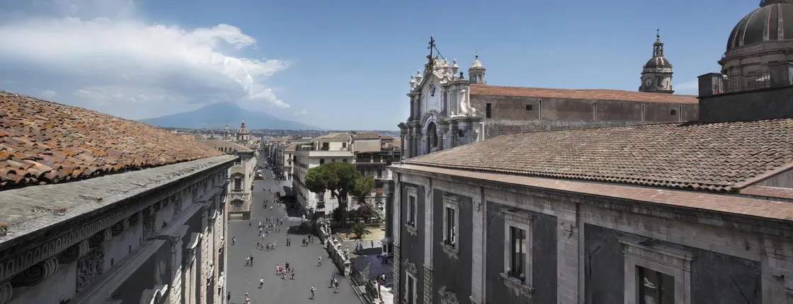 Full-day Etna Wine Bus tour with wine and food tasting