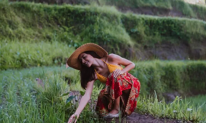 Bali Full Day Tour: Highlights of Ubud and Hidden Waterfall
