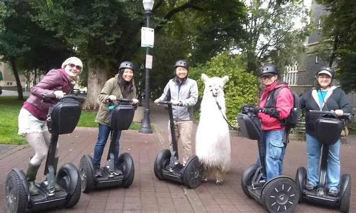 2 Hour Guided Segway Tour