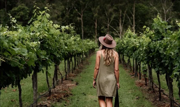 Mount Tamborine Winery Tour with Gourmet lunch