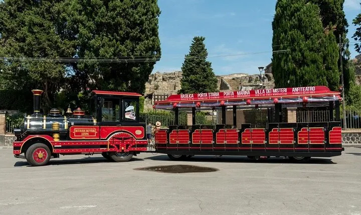 Pompeii Pass skip the line ticket and guided tour