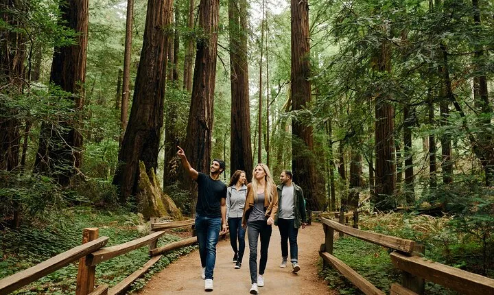 San Francisco, Muir Woods, Sausalito and optional Alcatraz tour
