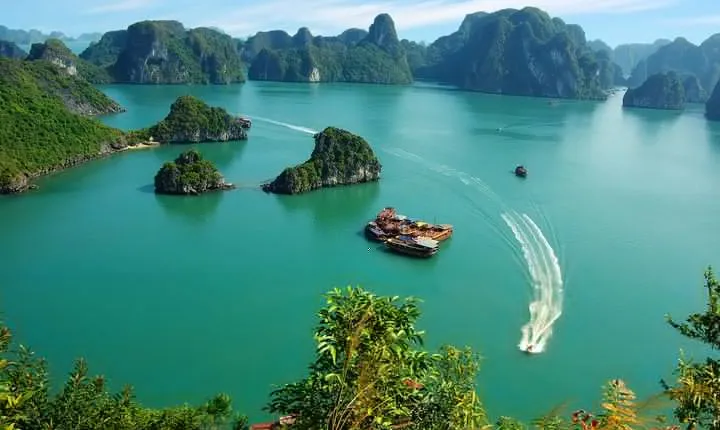 Best seller Halong Bay Cruises