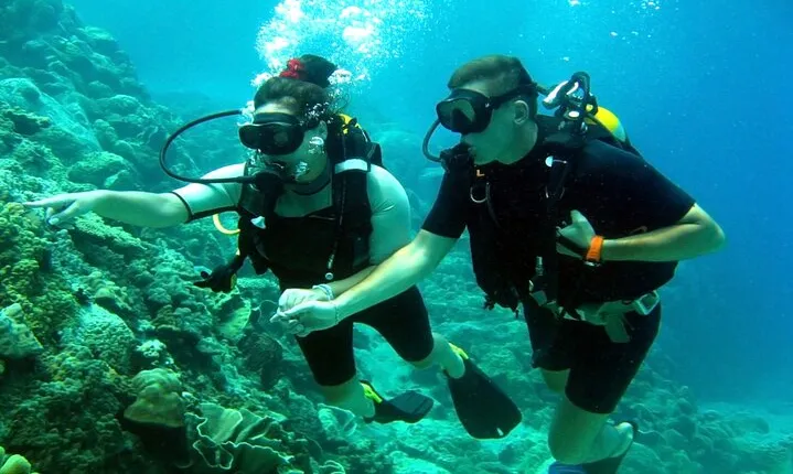 2-Day Tour from Luxor to Hurghada with Snorkeling