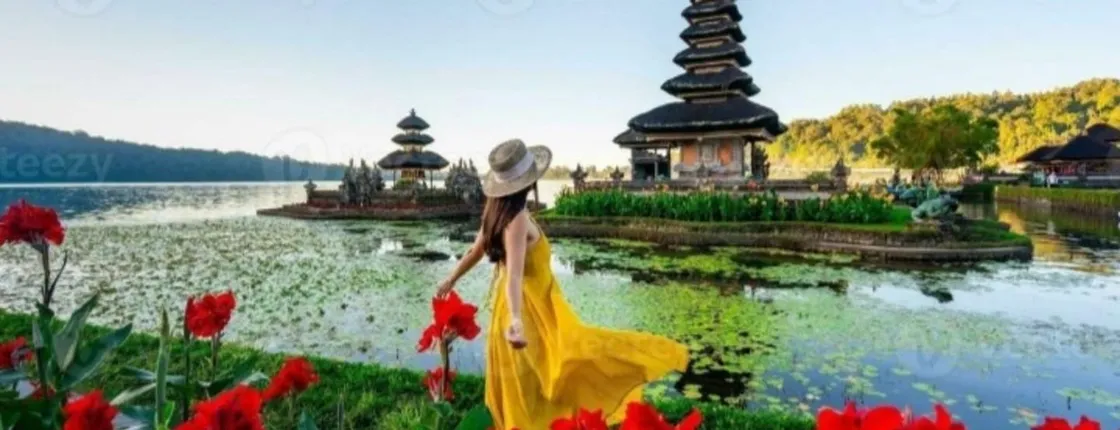 Bali private bespoke guided day tour