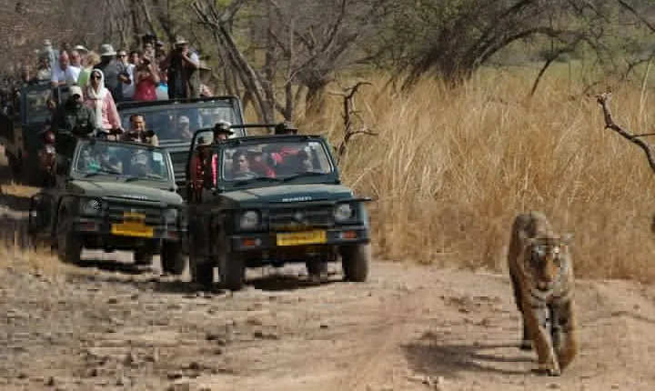 Five Days Golden Triangle Tour with Ranthambore Delhi Agra Jaipur