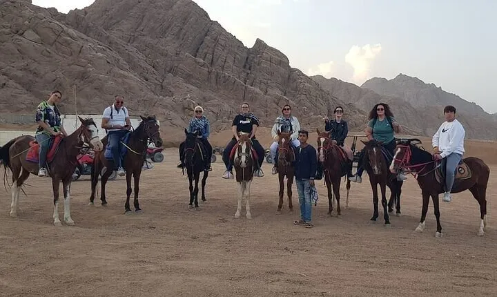 Unleash Your Spirit Horse Riding 2 Hours in Desert - Hurghada