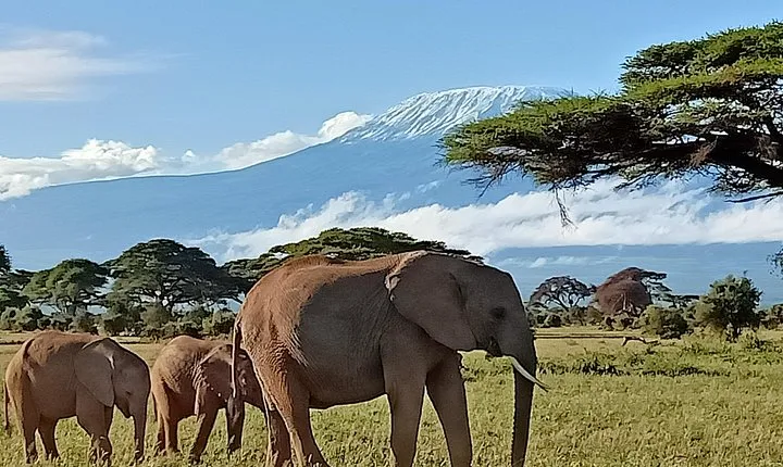 13 Days Photographers safari