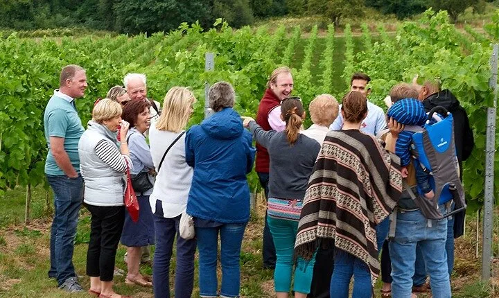 Wine Tasting & Vineyard Experience with Lunch for 10 People