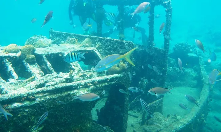 Discover Diving in Curacao