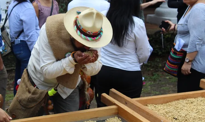 Full Day Coffee Guided Tour in Coatepec