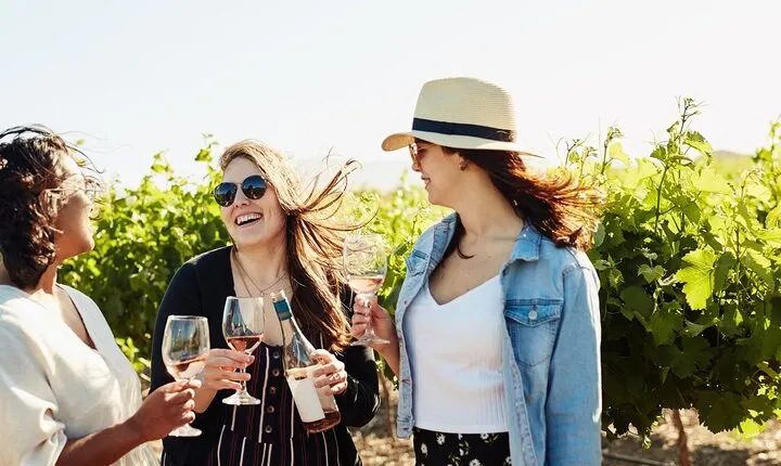 Cape Winelands Explore Full Day Tour with Private Transfer