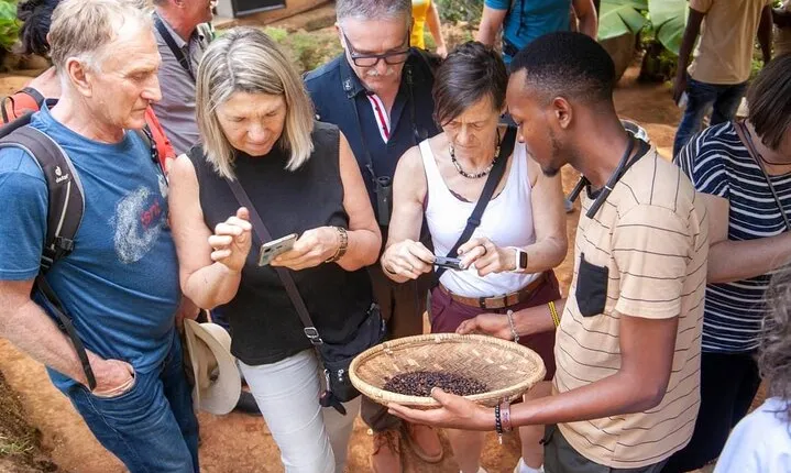 Full-Day Private Materuni Waterfalls and Coffee in Tanzania