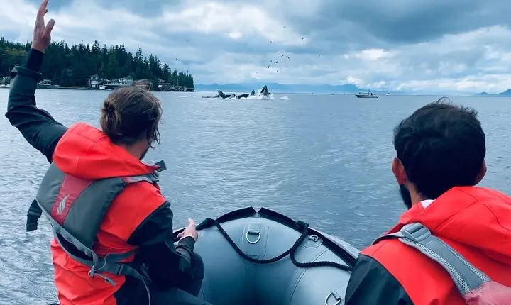 Zodiac Fast Boat Adventure