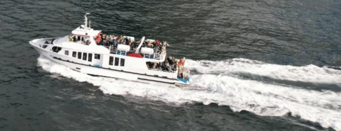 Boat Tour to the Cliffs of Moher and Aillwee Cave from Dublin