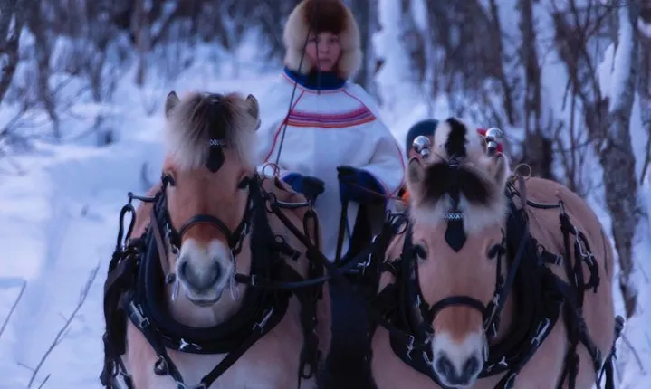 Sleigh Ride w/ Tapas Meal - Experience Arctic Farm Life