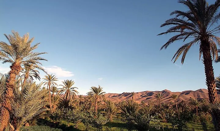 2-Day Tour to Zagora Desert from Marrakech