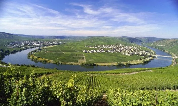 For the love of Riesling - Mosel Wine tour