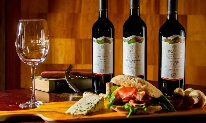 Private Valle Aconcagua Wineries Guided Tour from Santiago.