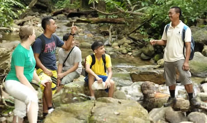 Morning Rainforest Walking from Langkawi