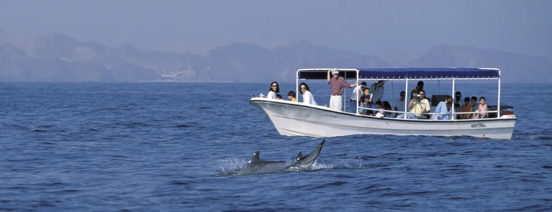 Dolphin watching and snorkeling in Oman