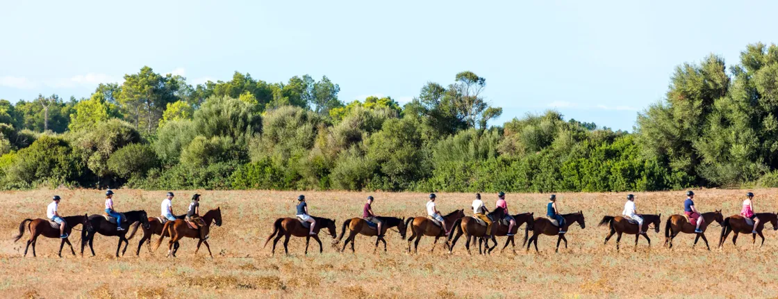 Rancho Grande two-hour horse ride with transfer