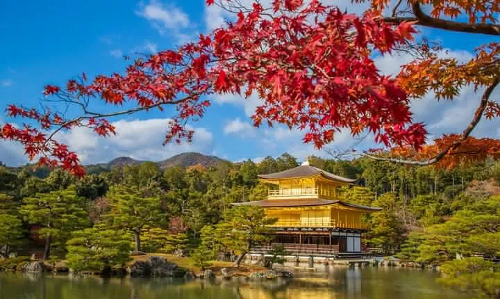 From Osaka-Kyoto: Kyoto and Nara 1Day Bus Tour
