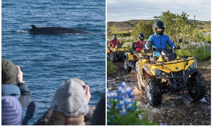 Whale Watching & ATV Adventure from Reykjavik