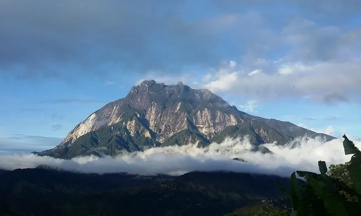 The Kinabalu Park and Canopy Walkway