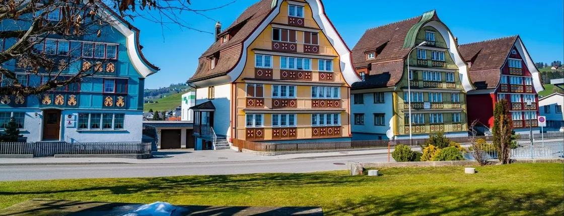 Private guided tour of Heidi country and Liechtenstein from Zürich