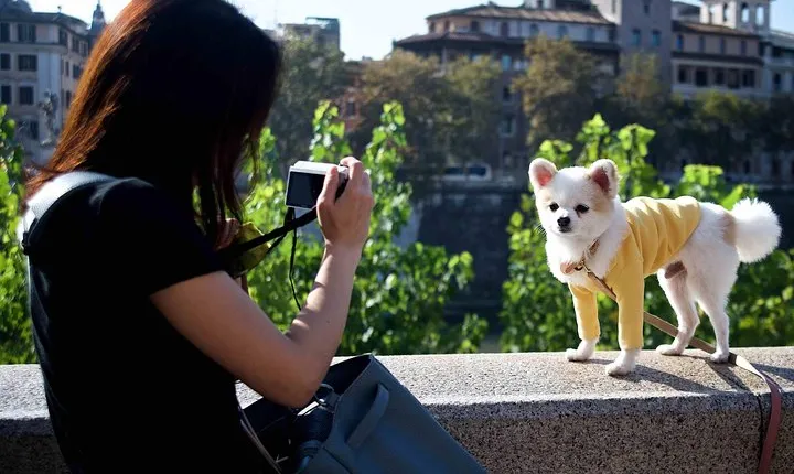 Your Tailored Made Photo Tour and Workshop in Rome 
