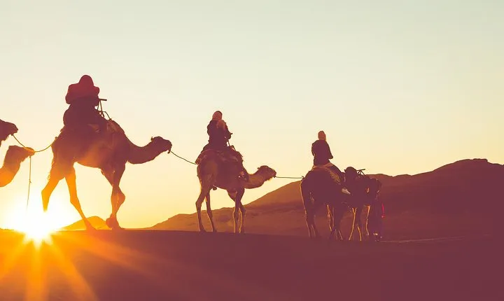 Sunset or Sunrise Camel ride in the Sahara Desert of Douz
