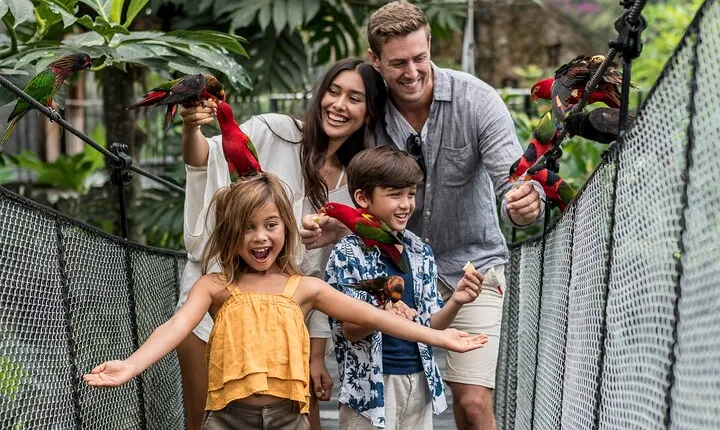 Bali Bird Park Admission Ticket