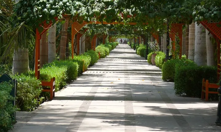 Private Felucca Tour to Botanic Gardens & Museum from Aswan