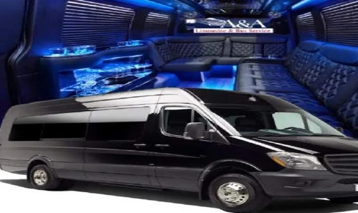 4, 5 or 6 hr Hollywood Private Tour in 12 Pass Mercedes Party Bus