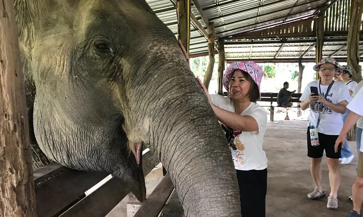 Kanchanaburi Erawan Waterfall & Elephant Care Experience Private