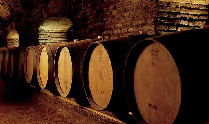 Santiago: Half day visit to Concha y Toro vineyard, include entrace & transport
