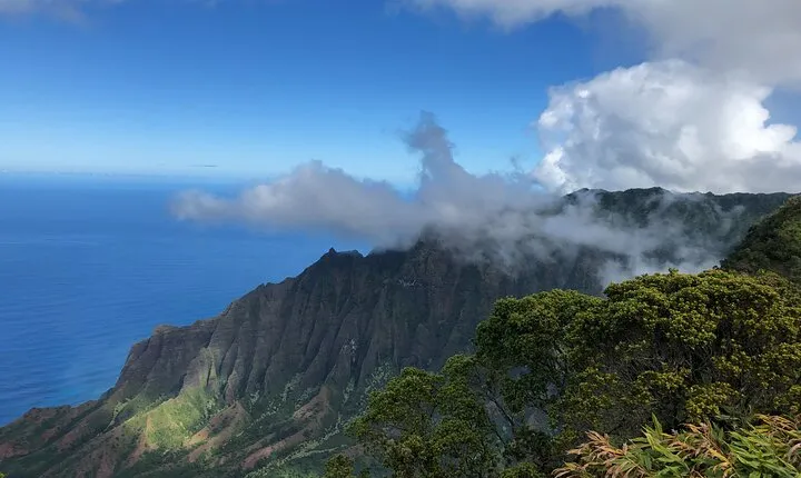 Private Kauai Island Tour : Waimea Canyon, Kalalau Lookout + More