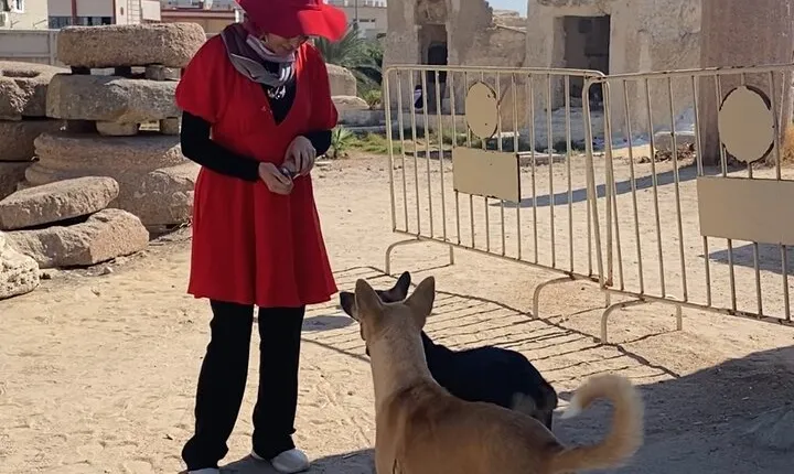 Alexandria Private tour from Cairo-10%to stray animals of Egypt
