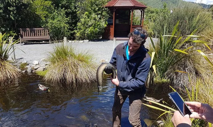 Private Kapiti Coast Full Day Tour