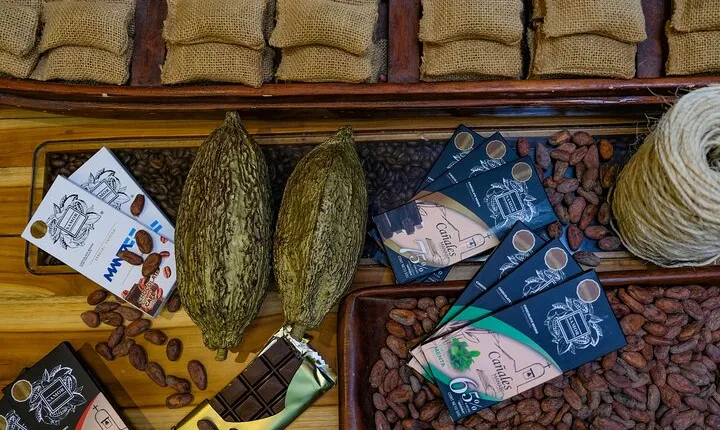 The ultimate Cocoa farm experience 