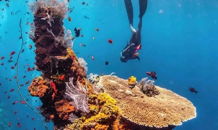 All Inclusive Bali Scuba Diving at Tulamben with Lunch -Transport