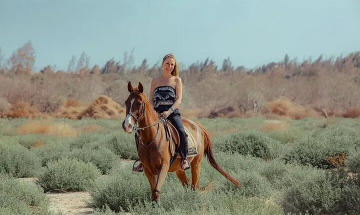 1 Hour Horse Ride Adventure Through the Desert – Sharm El Sheikh