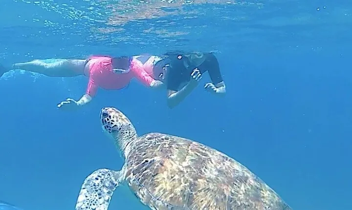 São Pedro experience (hiking & snorkeling with turtles)