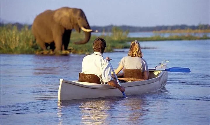 Day trip to Lake Manyara