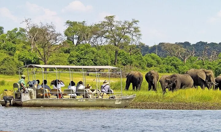 Chobe Boat Cruise & Game Drive Day Trip