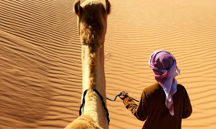 Sunrise Desert Safari from Abu Dhabi